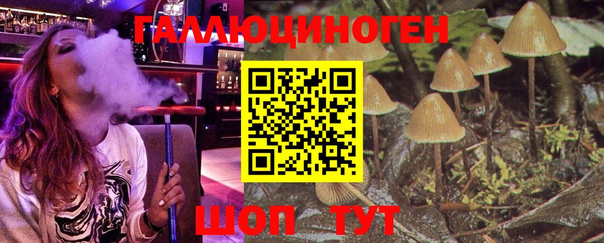 Галлюциногенные грибы Psilocybine cubensis Дмитров