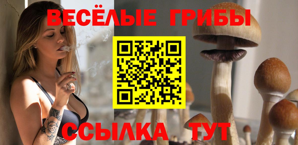 Дмитров  Псилоцибиновые грибы Cubensis  Вход с VPN 